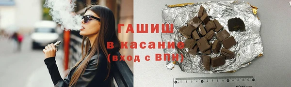 шишки Новодвинск