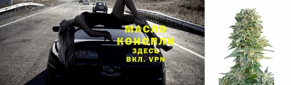 шишки Новодвинск