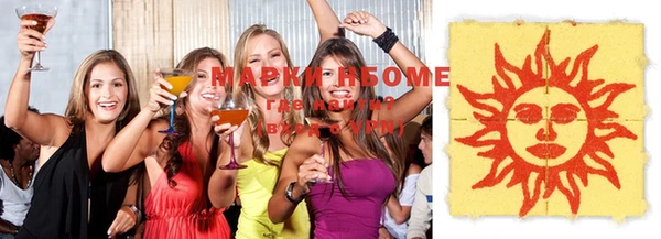 крисы Новокубанск