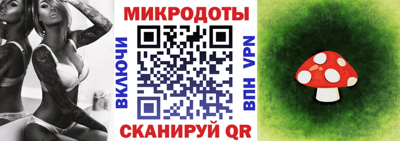 Псилоцибиновые грибы мицелий  Купить закладки  Балашиха 